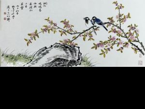 ʩ