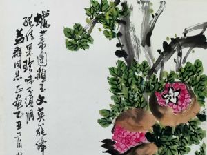 ܼ¥